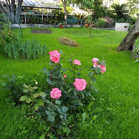 Romantic Loft Sea View Nervi 公寓